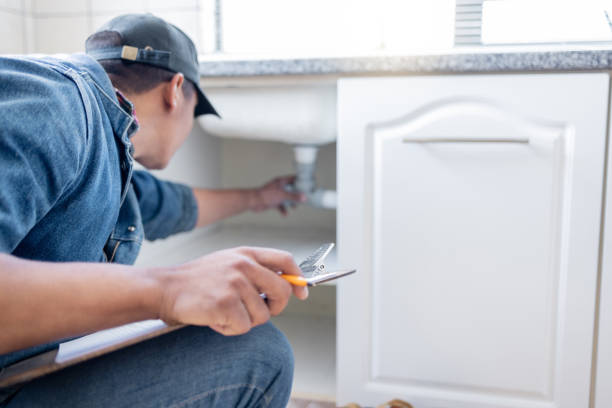 Best Local Plumber Services  in Redington Shores, FL